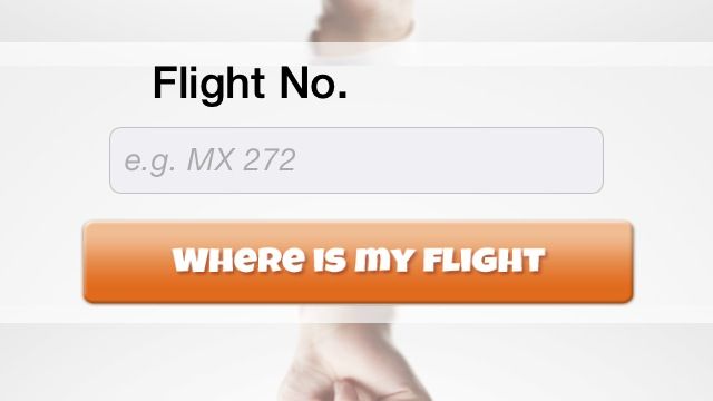 Where Is My Flight