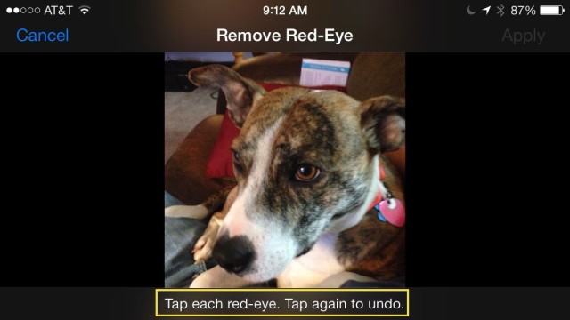 Red-eye? What red-eye?