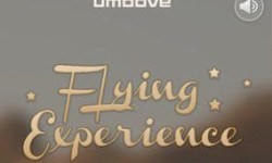 flyingexperience
