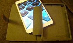 DSC05179 Mmmmm - gray suede.