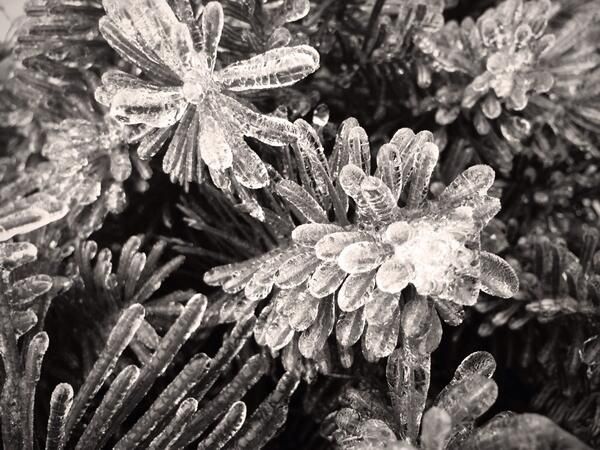 *icecrystals