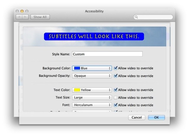Custom subtitles custom subtitles