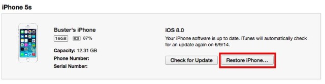RestoreiPhone restoreiPhone