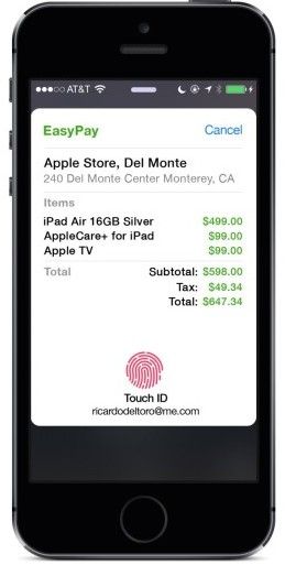 A concept designer's take on how Apple could implement mobile payments with Touch ID.