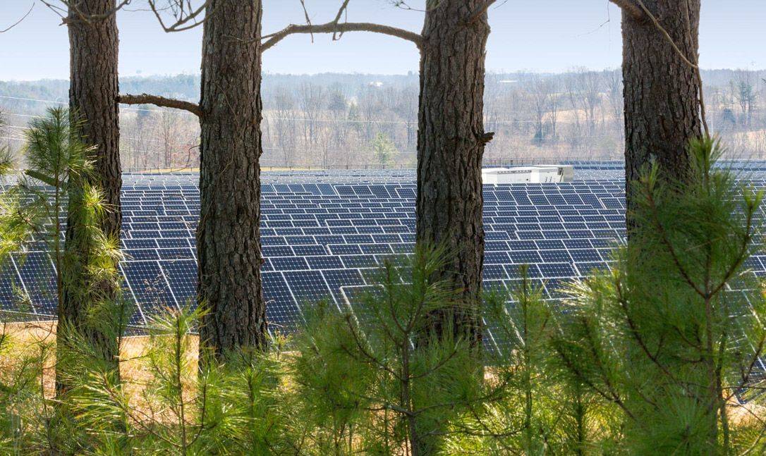 Apple's new solar farm breaks the record for non-utility company. Photo: Apple