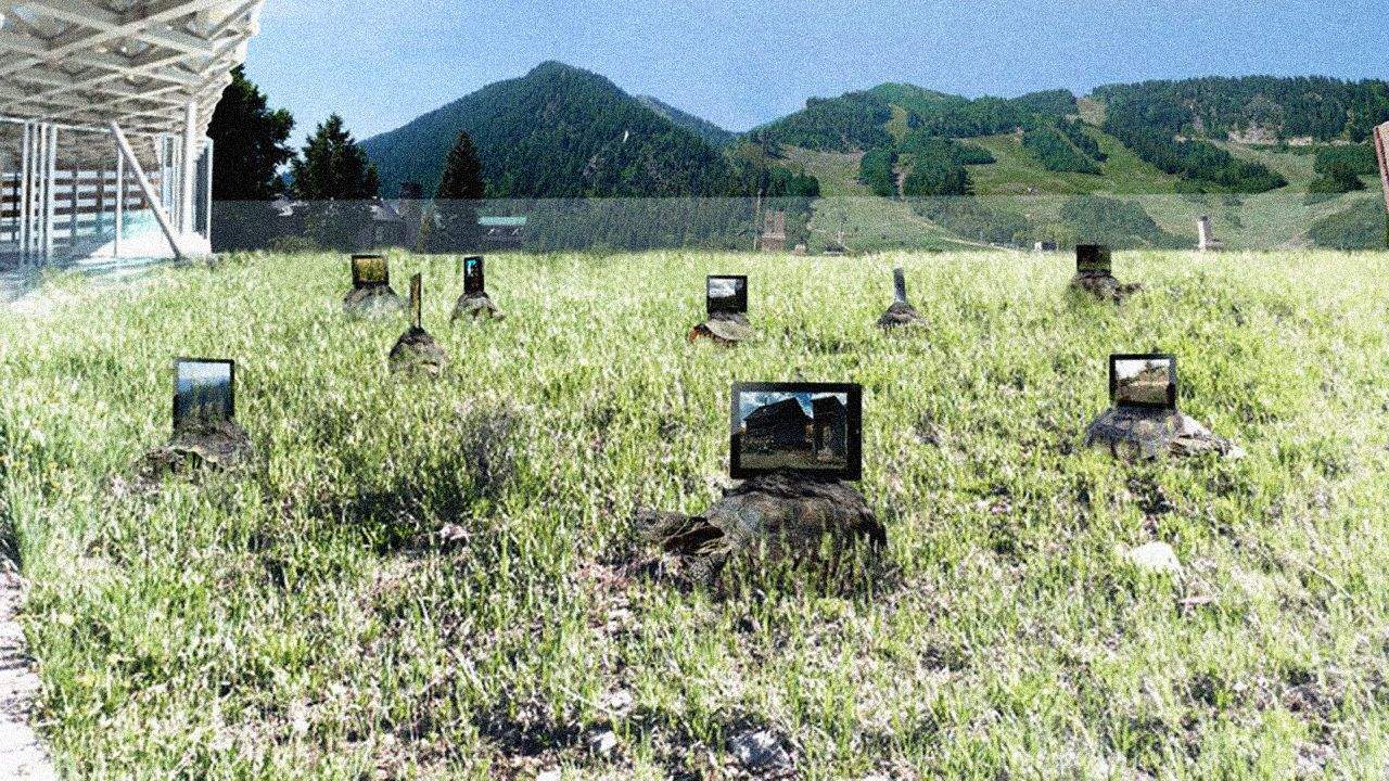 3034122-poster-p-2-artist-sticks-ipads-on-tortoises-protesters-freak-out