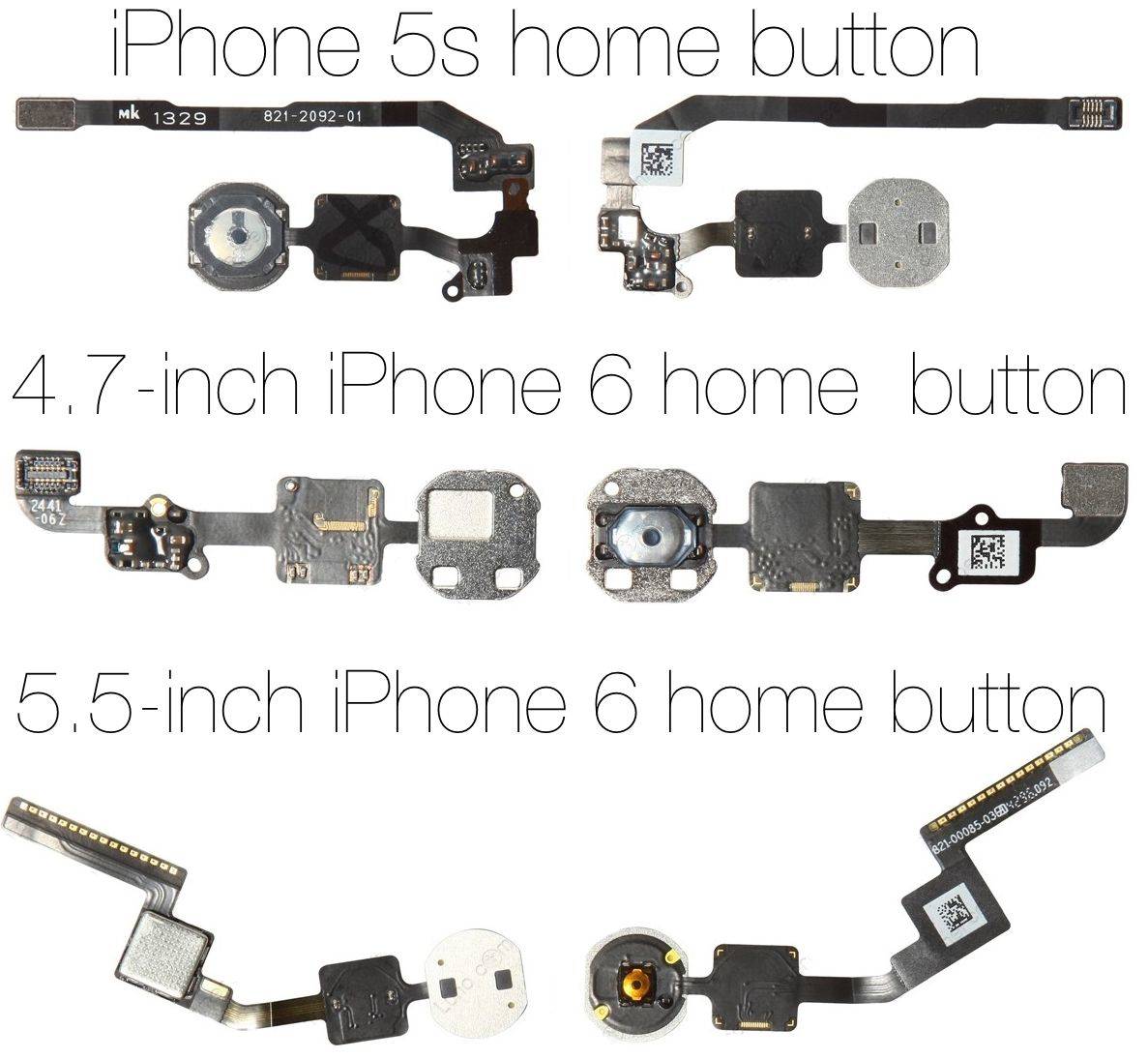 iPhone6homebuttons