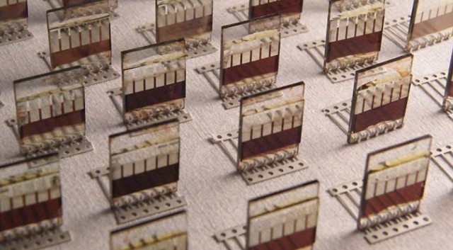 post-289806-image-3f51990d298ff0e36cd93db2bc4de093-jpg