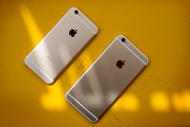 iPhone 6 and 6 Plus sure are koala-ty phones. Photo: Jim Merithew/Cult of Mac
