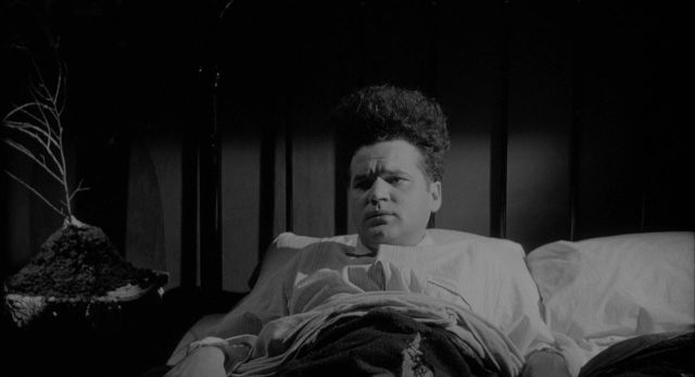 This is probably the least messed-up still of Eraserhead in existence. Photo: Libra Films