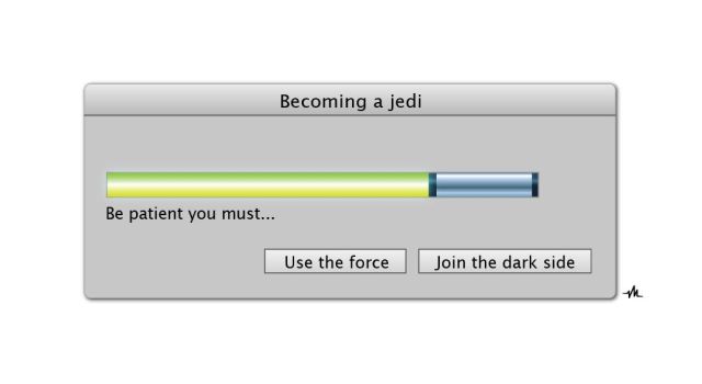 Jedi There is no try. Photo: Viktor Hertz