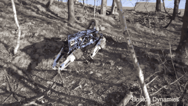 robot-dog-hunting