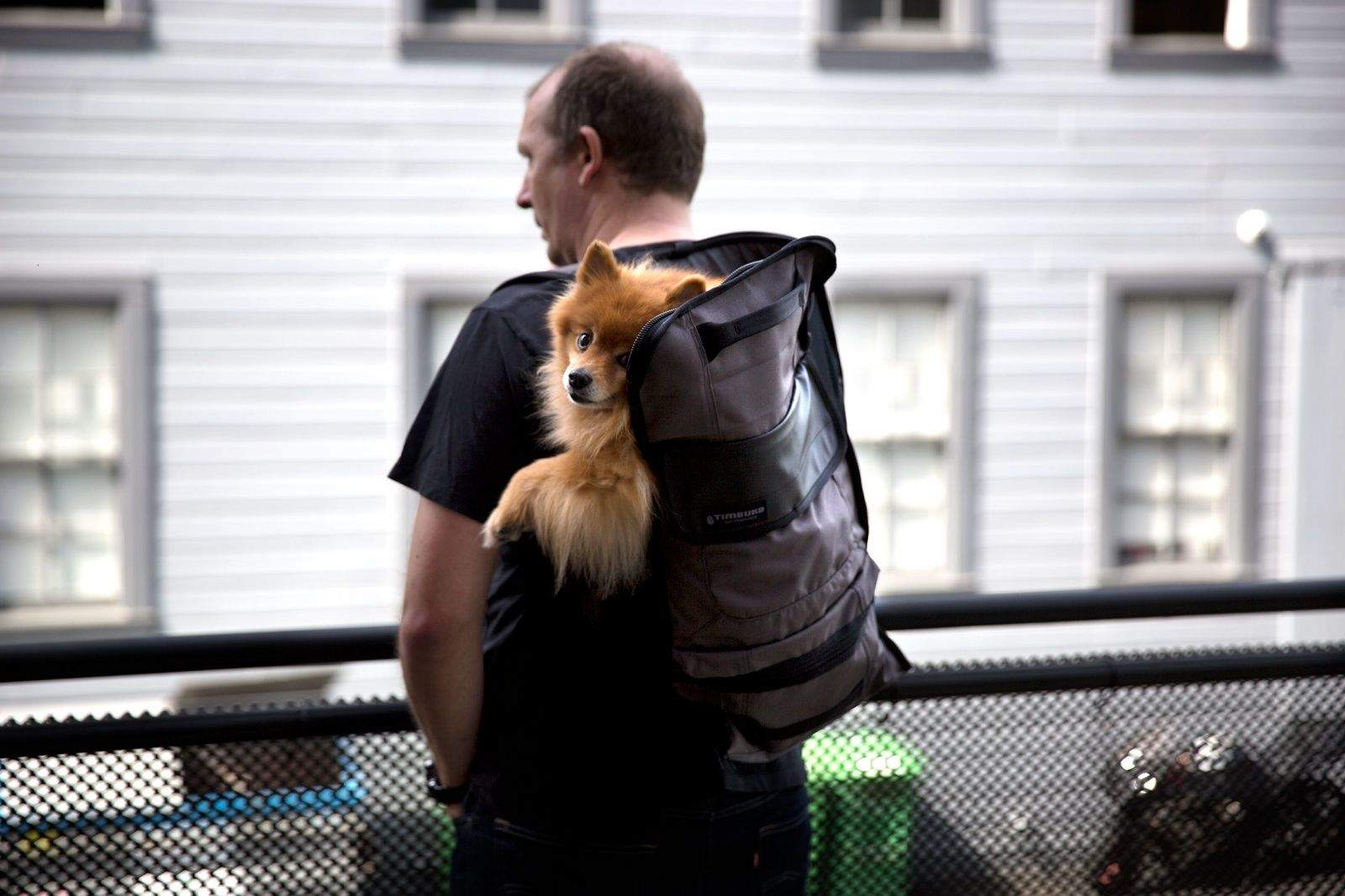 Each and every month, Lust List rounds up the products that shook us all night long. This time we've got unique backpacks, iPhone-saving cases, cool music gear, hot chile booze and much more.

Timbuk2 Muttmover dog backpack

My mother's dog is a little fluffy menace. A Pomeranian, he looks like dog treats wouldn't melt in his mouth, but he's a terror. He goes completely bananas when other dogs are around, and gets bitey if you try to move him off the couch. Last time I tried to stop him from eating the cat's food, I had to go get a tetanus shot. The neighbors call him 