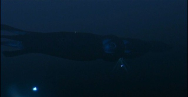 The SeaQuest was shaped like a squid. Why wouldn't it be? Photo: NBC