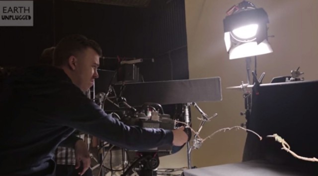 The BBC brought in a panther chameleon and an unsuspecting cricket into its slow-motion studio to capture the chameleon's tongue. Photo: BBC Earth Unplugged/YouTube