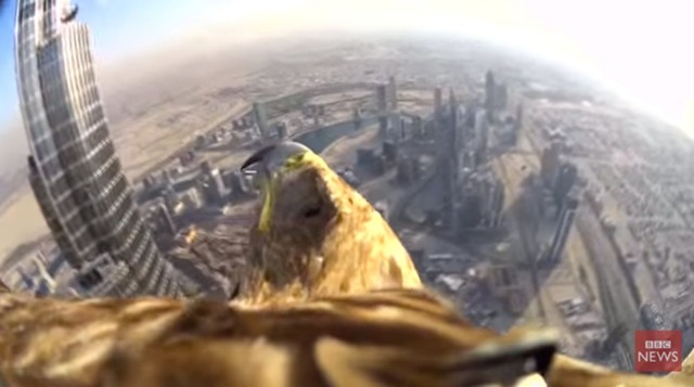 Darshan's flight over Dubai. Photo: BBC/YouTube