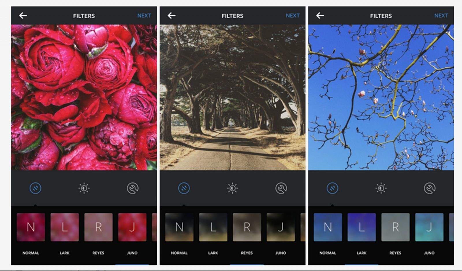 Lark, Reyes and Juno are three new filters for Instagram. Photo: Instagram