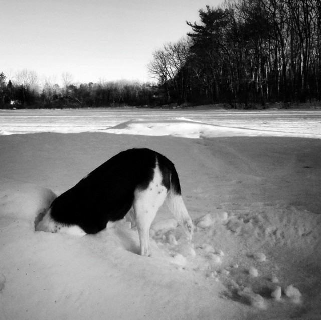 Cherylsenter cherylsenter