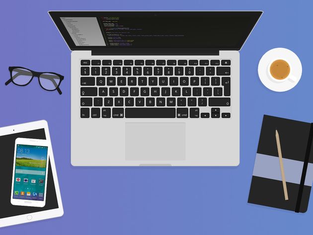 interactive coding bootcamp