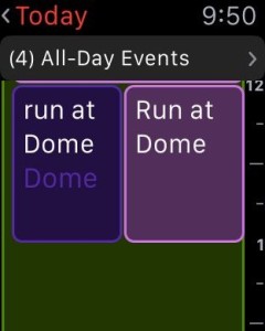 Run at dome run at dome