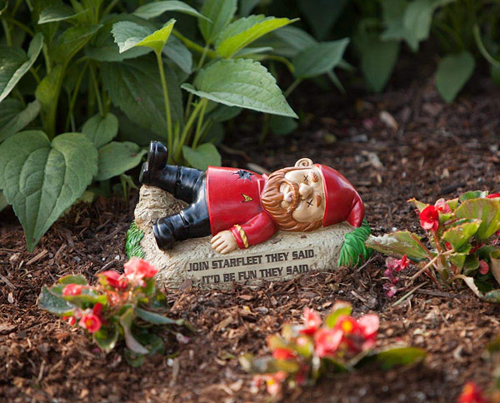 Even in a red shirt, a garden gnome is not safe.