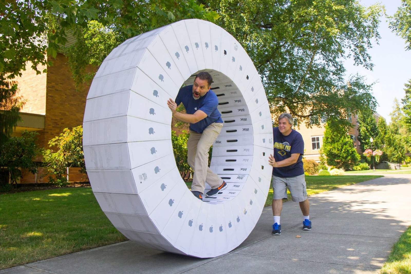 This cardboard hamster wheel would cost you $1800 make... and that's if you bought the boxes empty.