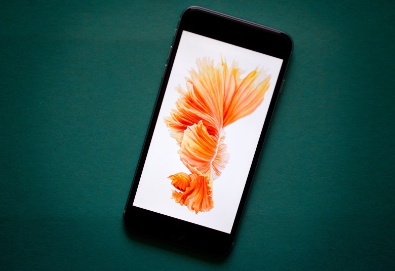 20150923_iphone-6s_0010-780x535