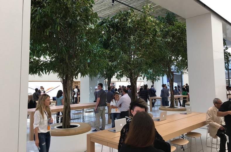 A glimpse at the leafy interior of the new Apple Store.