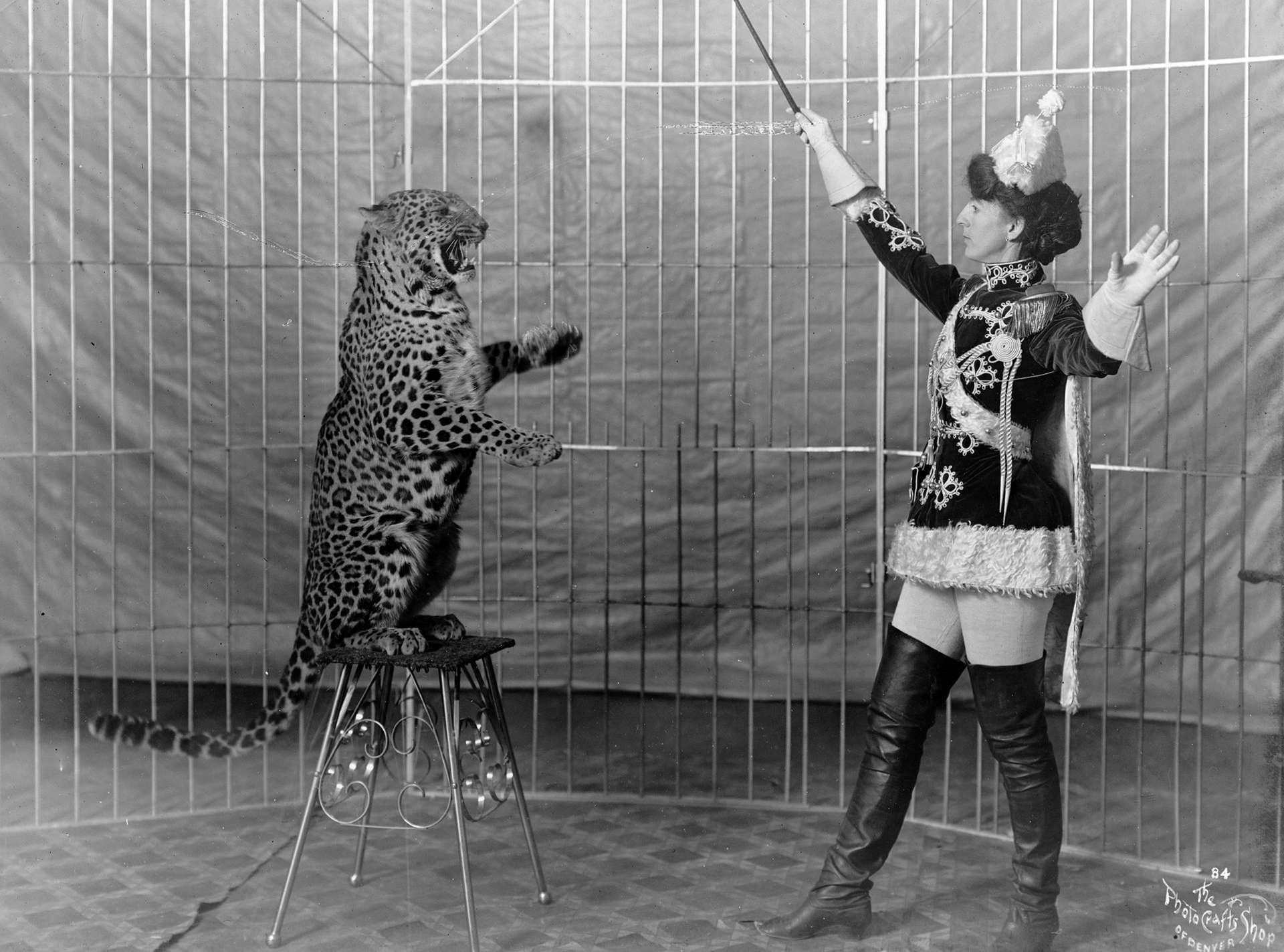 Your Mac—it just learned some new tricks.