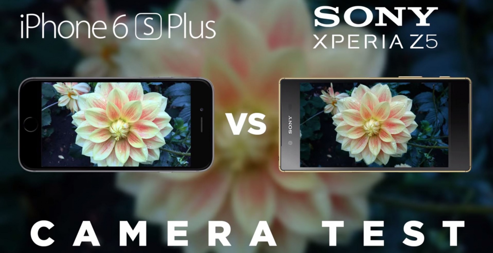 iphone-6s-plus-outsnaps-sony-xperia-z5-in-camera-tests-image-cultofandroidcomwp-contentuploads201510iPhone-6s-vs-Xperia-Z5-jpg