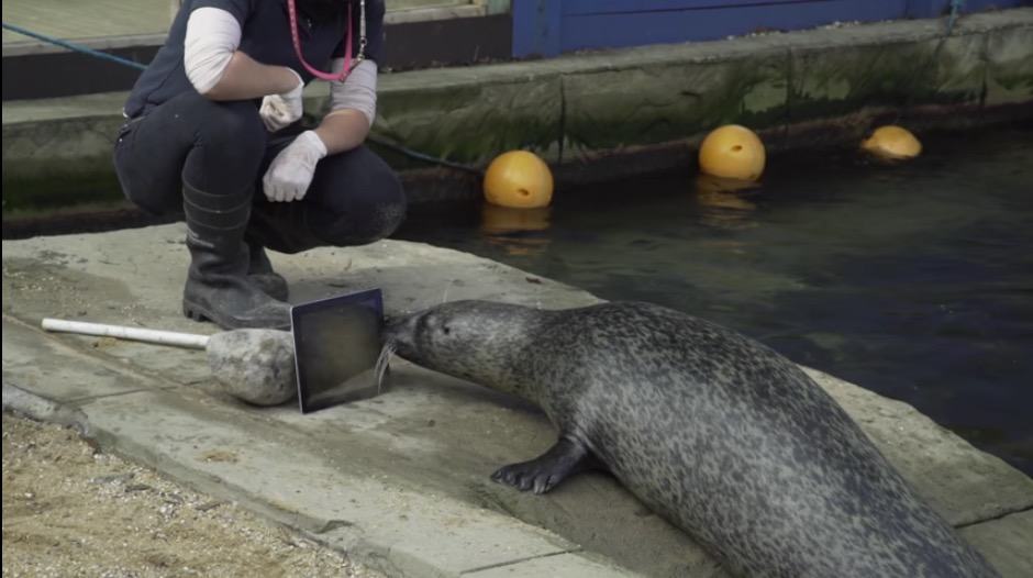 Singing 'Kiss from a Rose' to each other, no doubt.