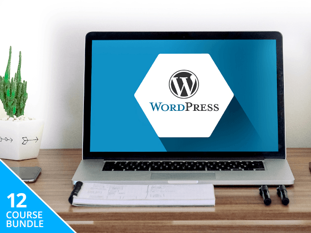 Master the hows and whys of WordPress, and build your own professional-grade website.