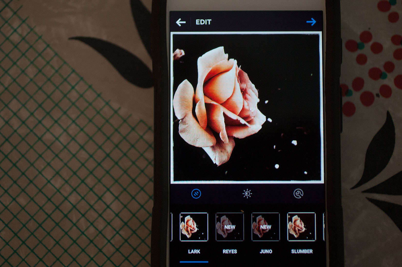 Sure you could name your girl Rose. But why not Lark or Juno?