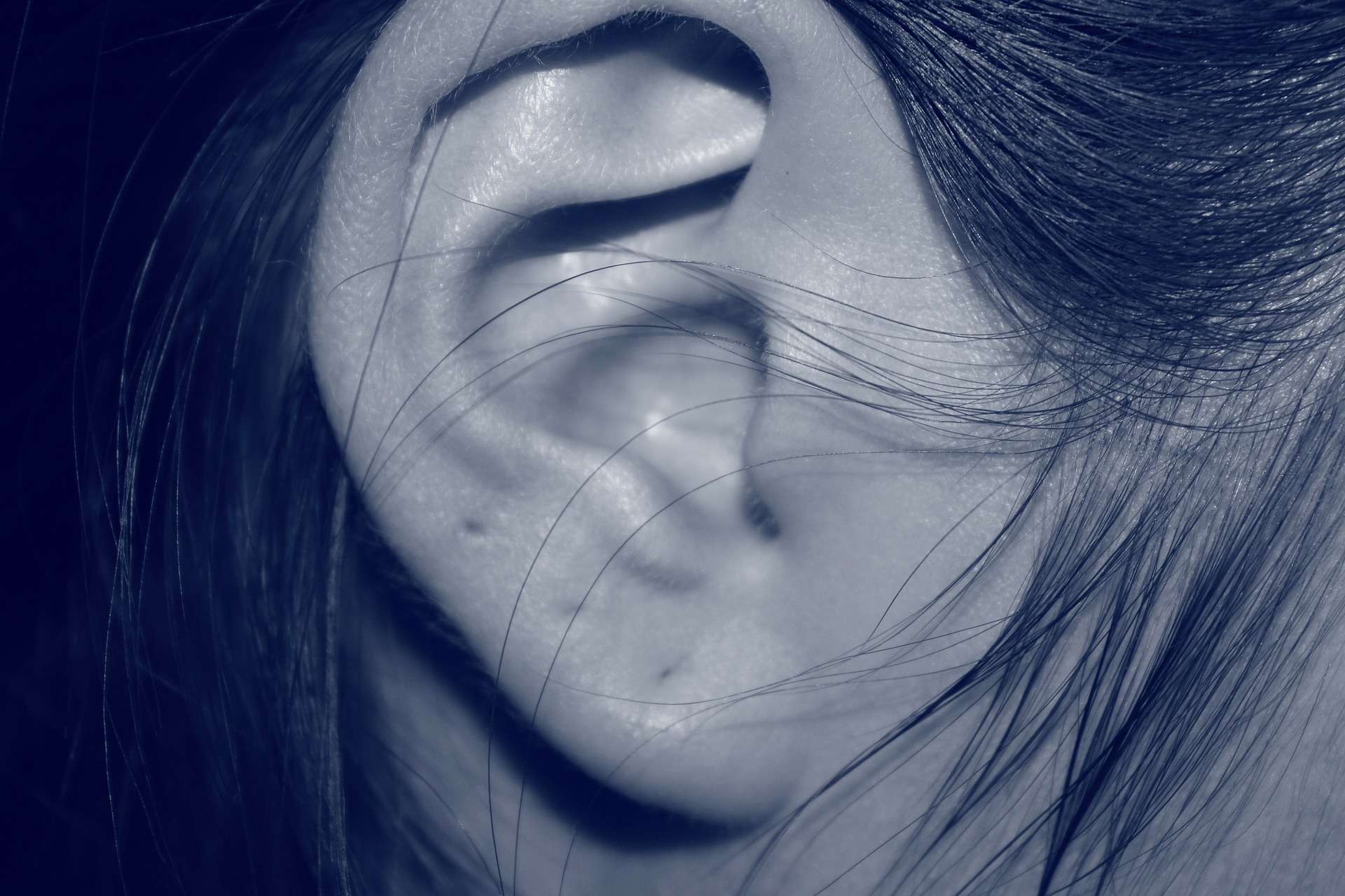 Ear by bohed