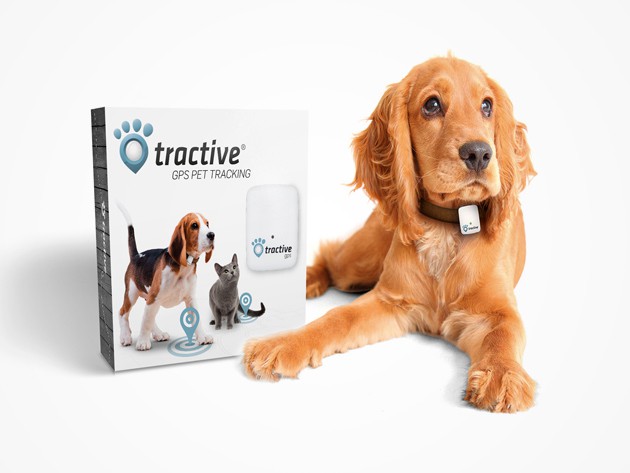 Keep track of your pet with this feature-rich, easy to use tracking device and mobile/web app.