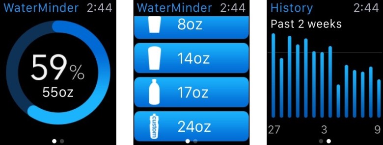WaterMinder makes it dead simple to track water intake in just a tap on your wrist.
