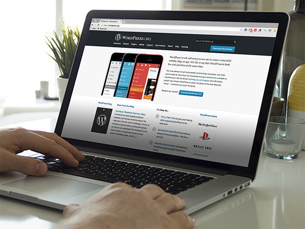 9df76681b0ce30dbec277b11bced580bcfb0b9fd_main_hero_image Get certification for working in and with WordPress, the most widely used CMS in the world.