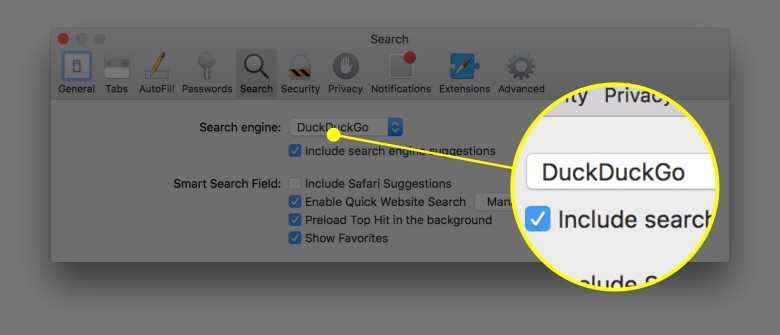 Make sure you've got the right search engine selected in Safari.