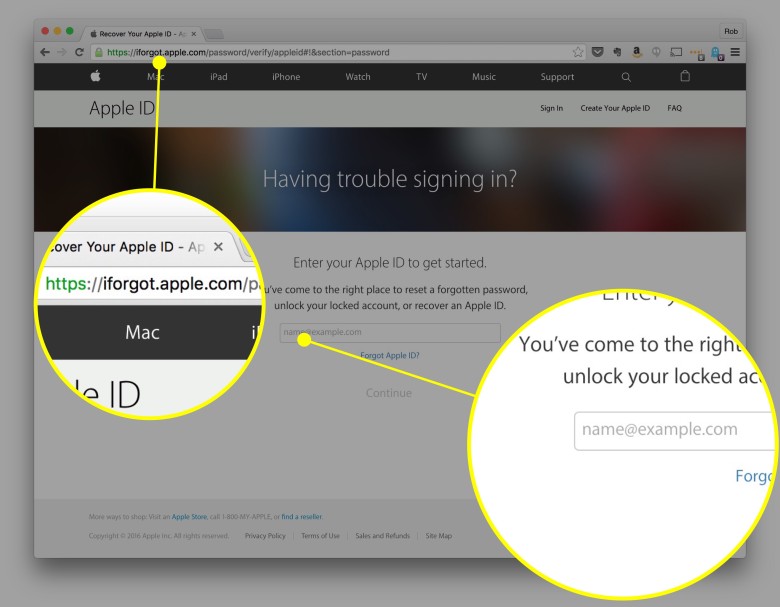 Enter your Apple ID here.