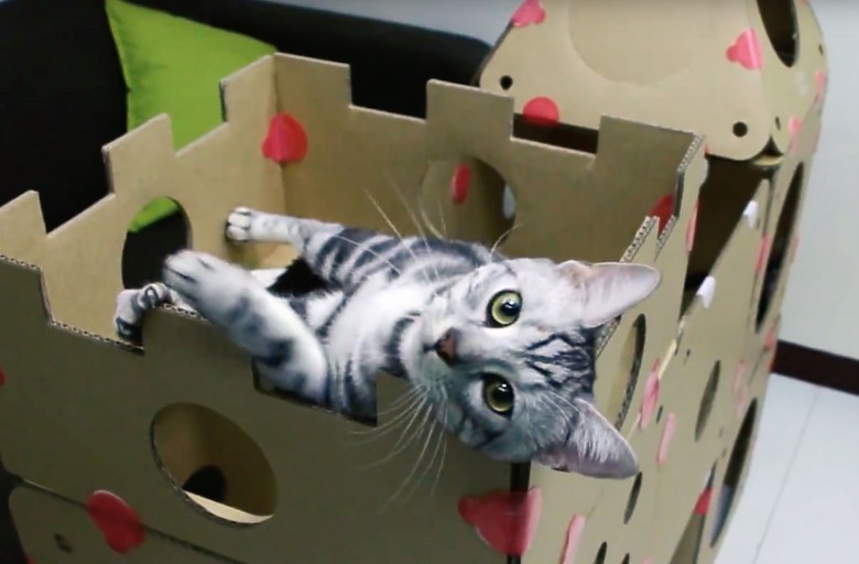 Box Kitty lets you build a custom cat condo.