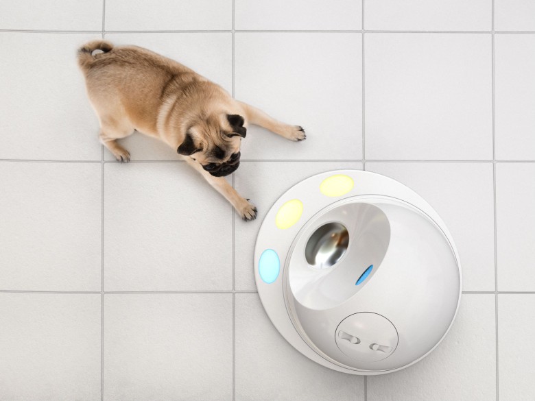 CleverPet wants to teach your dog a lesson.