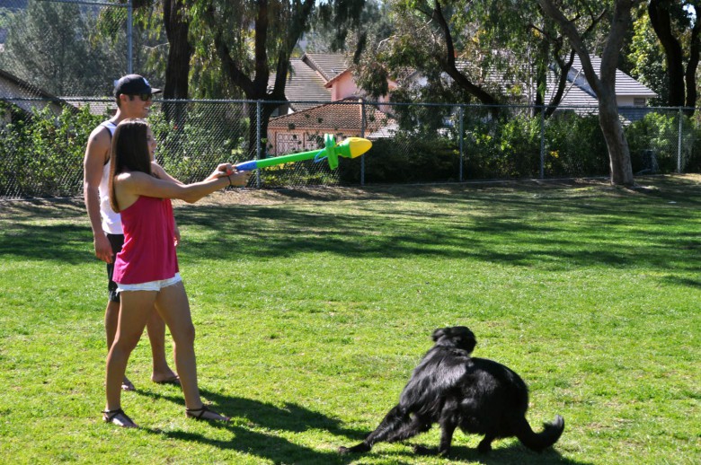 The HurriK9 shoots play rings up to 100 feet.