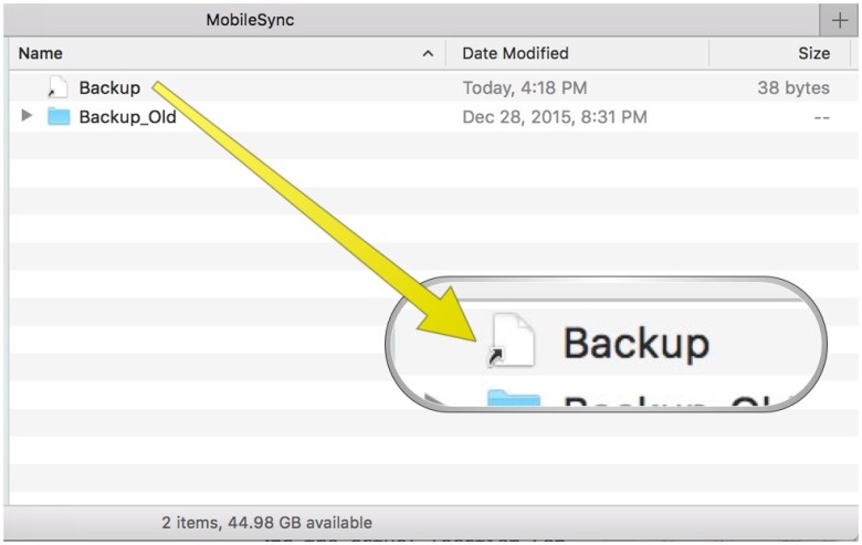 If you follow the steps, you should see a generic Backup file icon like this.