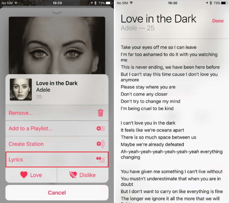 Lyrics Music iOS 10