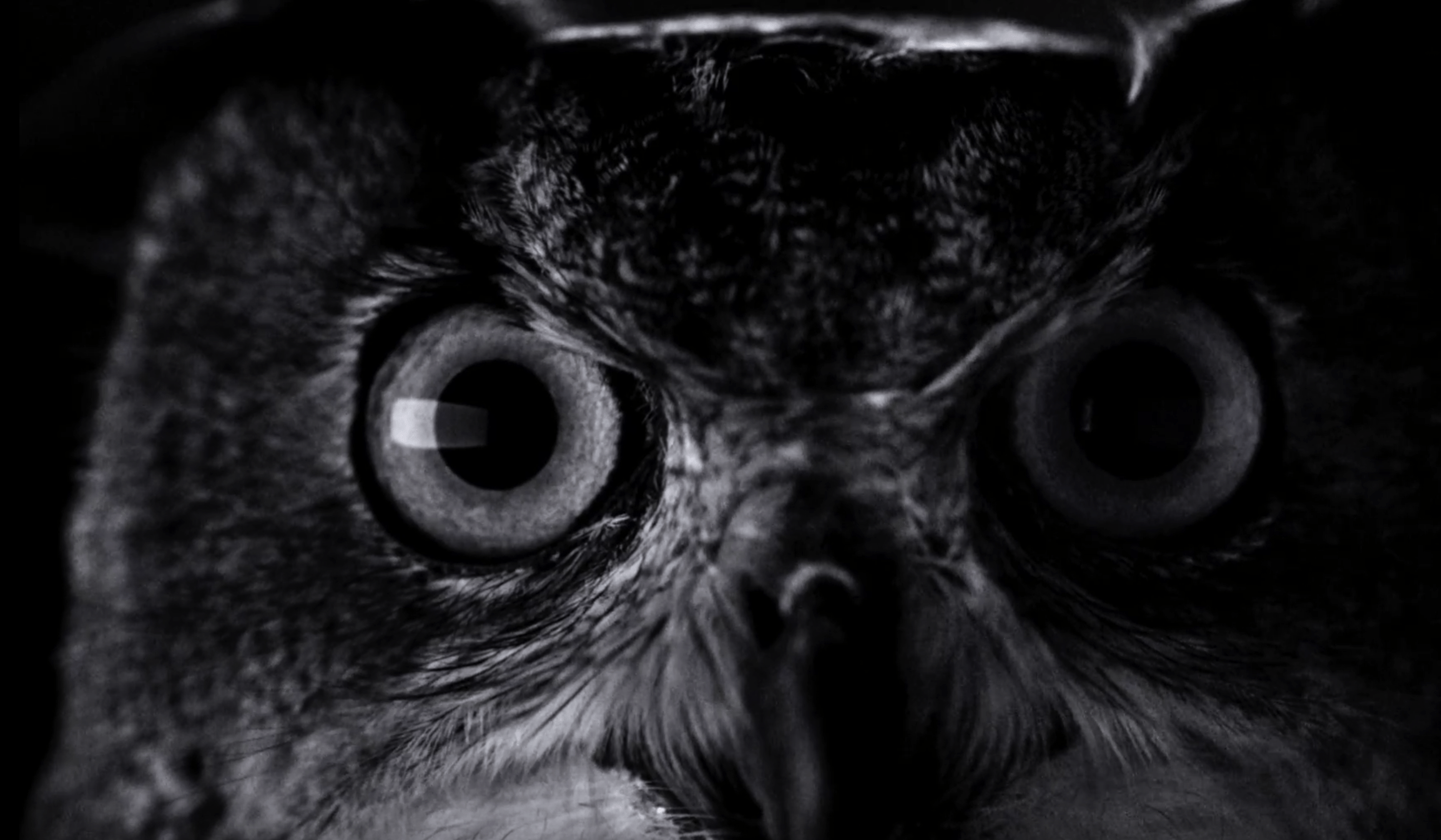 screen-shot-2016-09-14-at-13-36-34