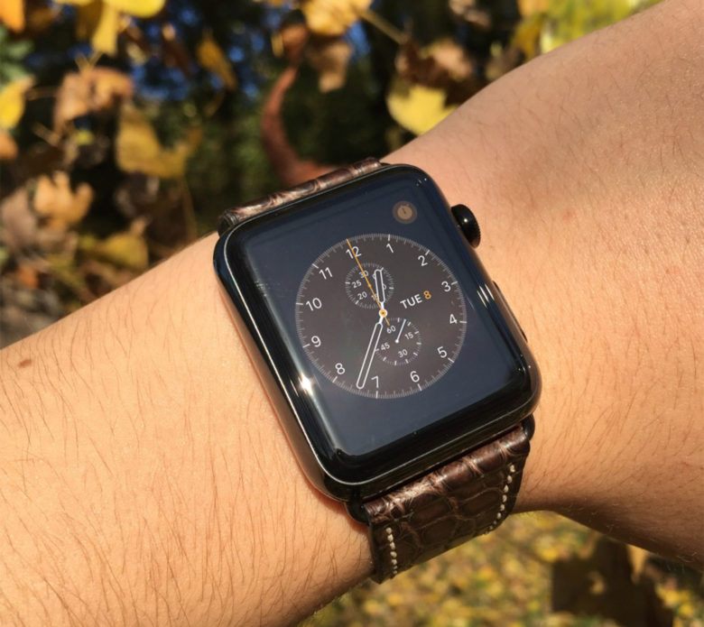 Apple Watch band collectors