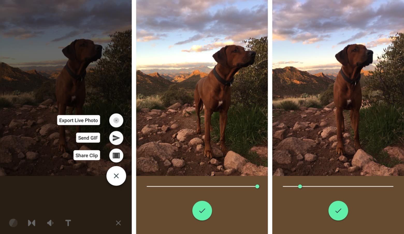 How to pick the perfect frame on iPhone Live Photos Cult of Mac