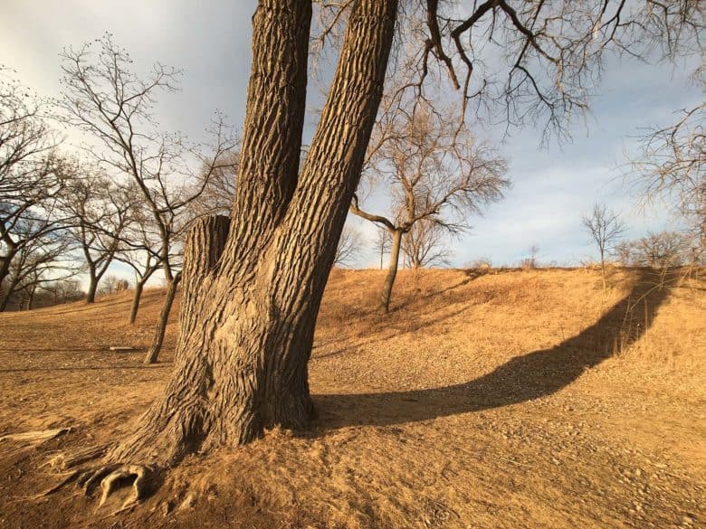 Oowa lenses oowa lenses