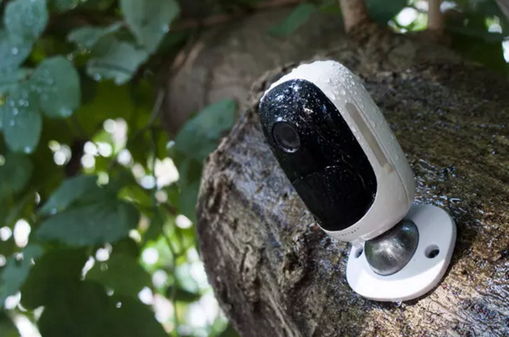Reolink Argus is weather-resistant and 100 percent wireless.