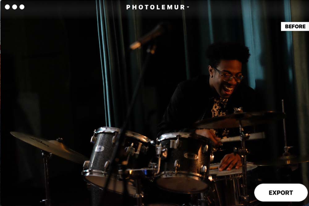 Photolemur photolemur